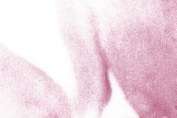 Fototapeta premium Macro Pink Halftone Flower Gradient on White Paper