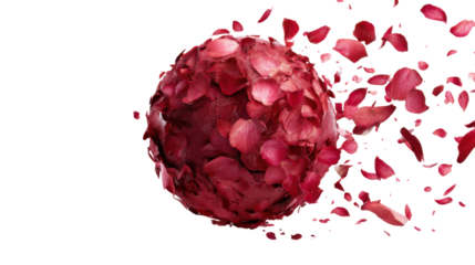 Red rose petals forming a sphere exploding into flying pieces, celebrating love and romance on transparent background