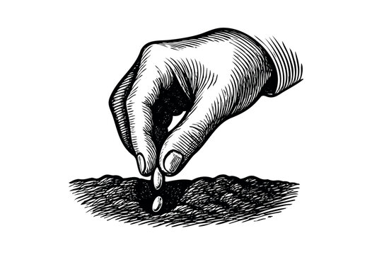 A hand sows a seed into the ground in a vintage engraving style &mdash; stock vector.