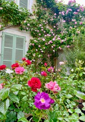 Fototapety na wymiar - Fototapeta24.pl