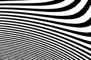 Bold curved halftone lines with rough black texture on transparent background. Dynamic radial pattern with strong visual impact.
