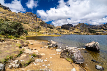 Laguna Toreadora sits among tussock grass in Cajas National Park, Ecuador. High altitude paramo landscape features glacial lake and rocky shore near Cuenca under cloudy sky