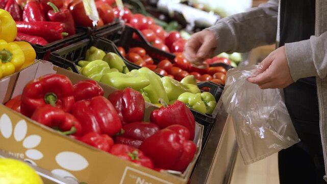 Customer selecting fresh sweet peppers at supermarket produce section putting green bell pepper into plastic bag among red peppers and tomatoes