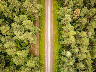 Regional road 133 near Leipalingis town, Druskininkai Municipality, Alytus County of Lithuania