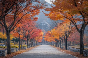 Fototapeta premium Autumn Road - A Scenic Pathway Lined with Vibrant Trees in Fall.