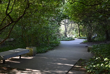 alley in the park