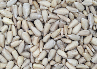 Sunflower seeds scattered on a surface ready for consumption or planting in a garden
