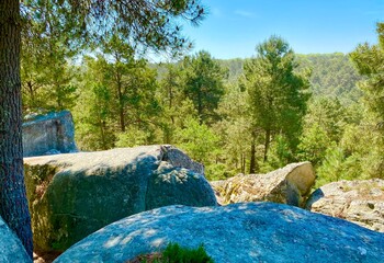 Fototapety na wymiar - Fototapeta24.pl