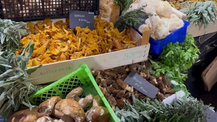 Various types of mushrooms in plastic crates at a market — chanterelles, button mushrooms.