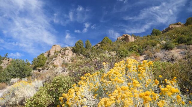 Beautiful rocks and autumn foliage at Beaver Dam State Park near Panaca, Nevada