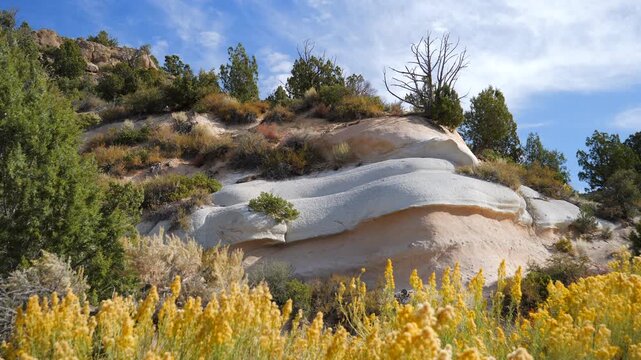 Beautiful rocks and autumn foliage at Beaver Dam State Park near Panaca, Nevada