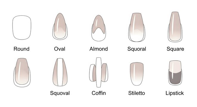 Nail Shape Guide Discovering the Perfect Manicure Style for Your Fingertips