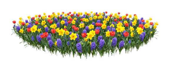 Vibrant flower bed of red tulips, yellow daffodils, and purple hyacinths blooming together in a colorful spring arrangement with lush green stems and leaves
