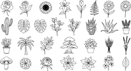Black and White Line Art Botanical Elements Vector Set for Nature, Gardening, and Plant-themed Designs - Hand-Drawn Outline Illustrations of Flowers, Leaves, Succulents, and Trees