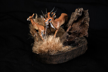 Thomson's gazelle animal on isolated background