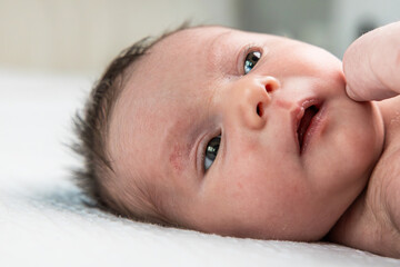 Newborn baby feeling parent's gentle comforting finger