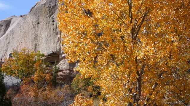 Beautiful rocks and autumn foliage at Beaver Dam State Park near Panaca, Nevada