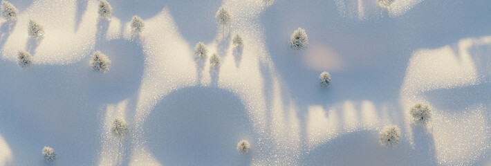 Aerial 3D Rendering of a Wavy Snow Landscape with White Fir Trees in Warm Evening Light