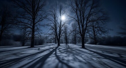 Moonlit winter landscape stark tree silhouettes against a glowing sky, casting dramatic shadows on untouched snow, creating a serene yet chilling nocturnal ambience