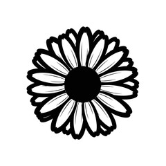 Fototapeta premium Monochrome Daisy Silhouette Art, Minimalist Flower Design Illustration