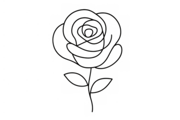 Rose line art drawing, romantic minimalist flower illustration for love, beauty, nature and delicate design on transparent background