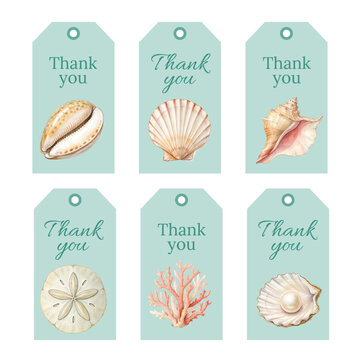 Watercolor Thank You Tags Collection with Nautical Shells and Marine Life