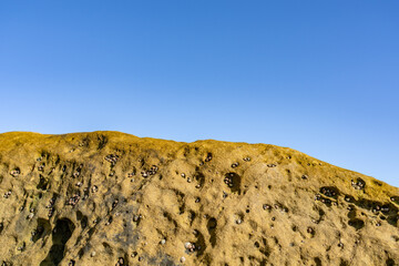 Marine sandstone, siltstone, shale, and conglomerate （Topanga Group）. Heisler Park, Laguna Beach is a city in Orange County, California, United States. Pacific Ocean. coastal terrace