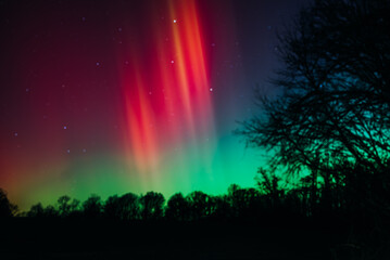 Aurora Borealis With Tree Line Silhouette and Cornfield