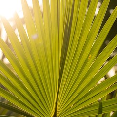 Close-up of a vibrant green palm leaf with sun rays shining through.