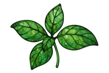 Fototapeta premium Green basil plant sprig with fresh leaves, watercolor drawing illustration on transparent background