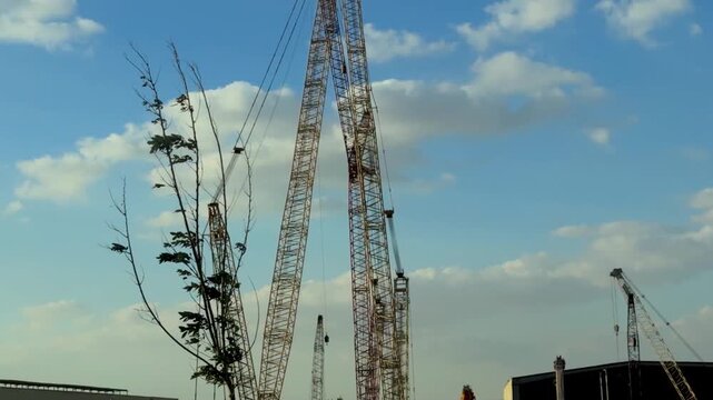 Low angle view of multiple heavy-duty lattice boom cranes towering against a cloudy blue sky at an industrial equipment yard