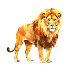 Obraz premium Majestic male lion watercolor illustration with a vibrant golden mane, standing proudly and looking directly forward, rendered with expressive brushstrokes and artistic paint splatters