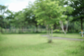 Defocused green garden abstract background. A peaceful park setting with vivid green trees and a grassy field, captured with a gentle blur.