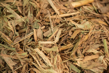Compost from dry leaves background.
