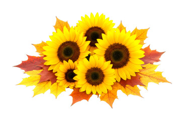 Fototapeta premium Five vibrant yellow sunflowers and colorful autumn leaves are beautifully arranged in a cheerful display, showcasing the warm hues of the harvest season with bright, natural light
