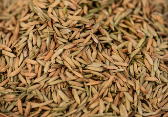 Rice grains on natural background.