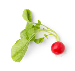 One fresh ripe radish isolated on white, top view