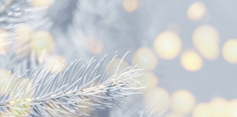 Christmas greeting card with fir tree branches and bokeh lights. Banner design