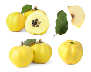 Set of fresh quinces isolated on white