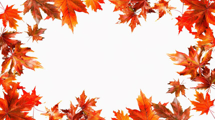 Autumn Maple Leaves Border on White Background