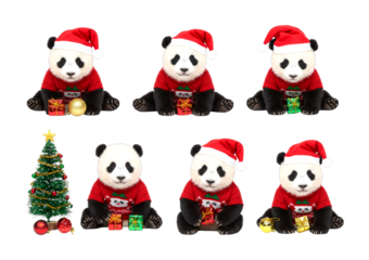 Six adorable baby pandas wearing festive Christmas sweaters and Santa hats sit cheerfully with colorful gift boxes and a decorated holiday tree, exuding a joyful winter spirit
