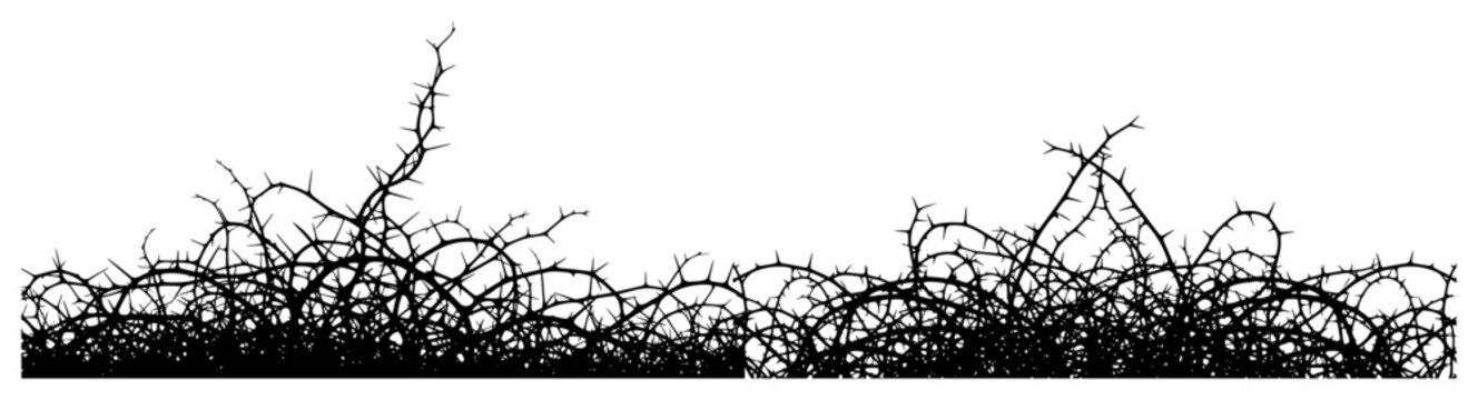 Black bramble thorn silhouette border with spiky tangled branches and vines