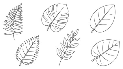 Botanical Line Art Collection: A Set of Minimalist Leaf Illustrations for Creative Designs