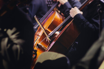 Concert view of contrabass violoncello player with vocalist and musical band during string concert, jazz orchestra performing music, violoncellist cello jazz player on stage in club, music arena hall