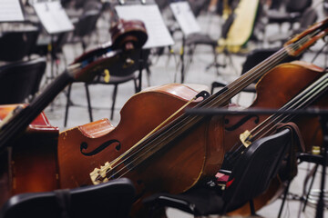 Concert view of contrabass violoncello player with vocalist and musical band during string concert, jazz orchestra performing music, violoncellist cello jazz player on stage in club, music arena hall