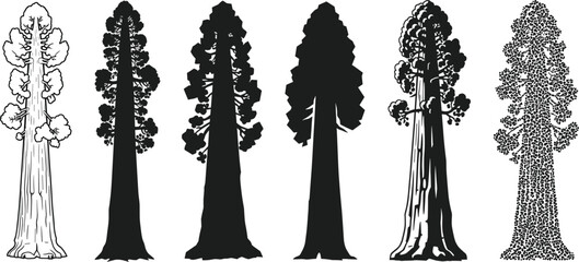 Stylized giant sequoia tree illustrations in varied artistic techniques including silhouette, stippling, line art, shading, and vector rendering.