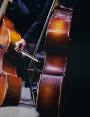 Concert view of contrabass violoncello player with vocalist and musical band during string concert, jazz orchestra performing music, violoncellist cello jazz player on stage in club, music arena hall © tsuguliev