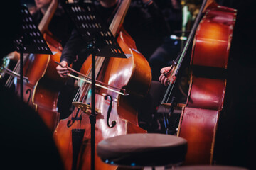 Concert view of contrabass violoncello player with vocalist and musical band during string concert, jazz orchestra performing music, violoncellist cello jazz player on stage in club, music arena hall