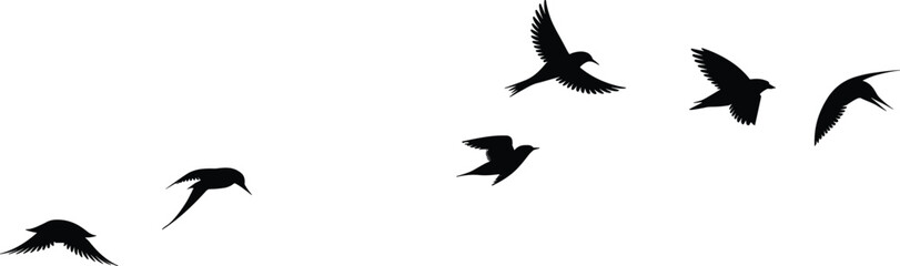 Black silhouettes of birds in flight against white background