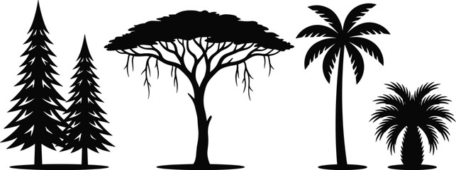 Tree silhouettes, coniferous trees, acacia tree, palm trees, tropical foliage, nature diversity, forest shapes, botanical forms, landscape elements, black silhouettes ©  jahanara